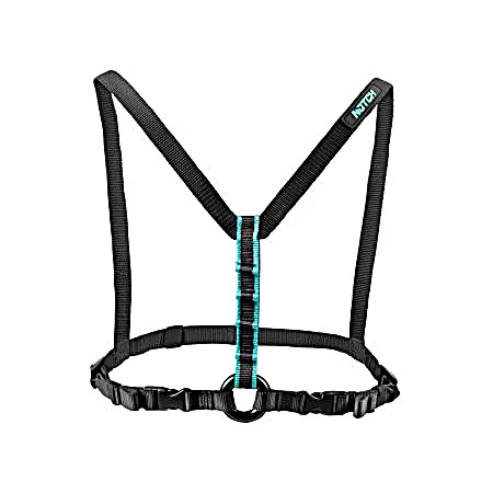 [NO99443] TORSE - CHESTER - NOTCH